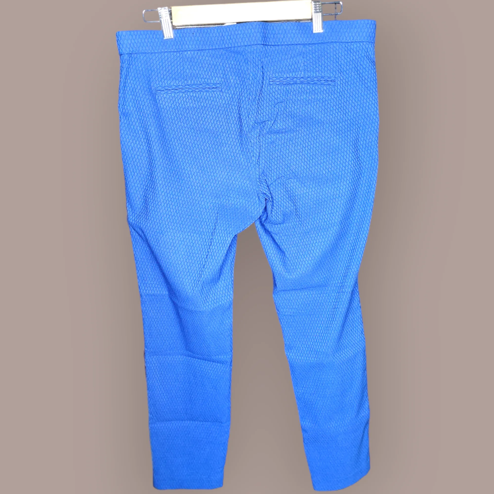 Blue Self-Design Pants